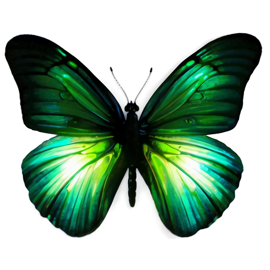 Glowing Green Butterfly Picture Png Dku79 PNG image