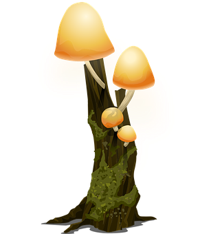 Glowing Mushroomson Tree Trunk PNG image