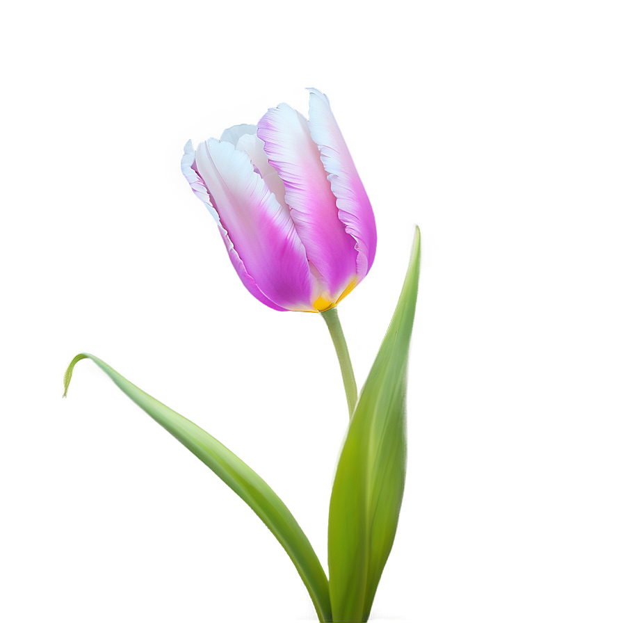 Glowing Tulip Png 05212024 PNG image