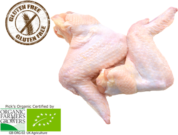 Gluten Free Chicken Wings PNG image