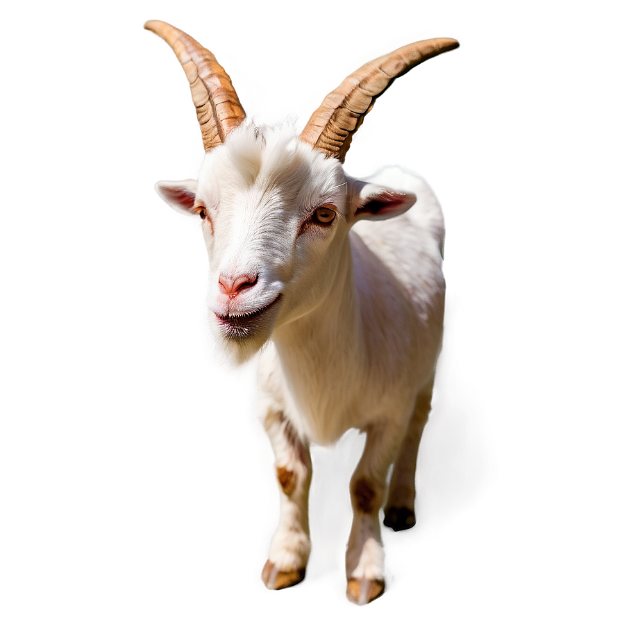 Goat Emoji Png Jmh PNG image