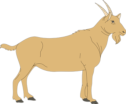 Goat Vector Illustration PNG image
