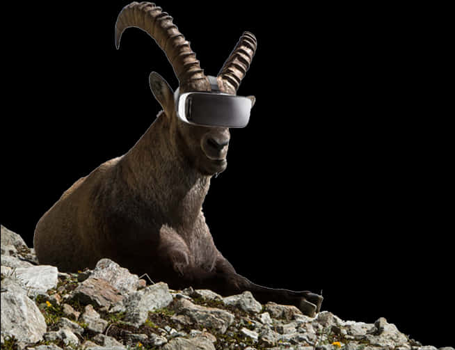 Goat Wearing V R Headset PNG image
