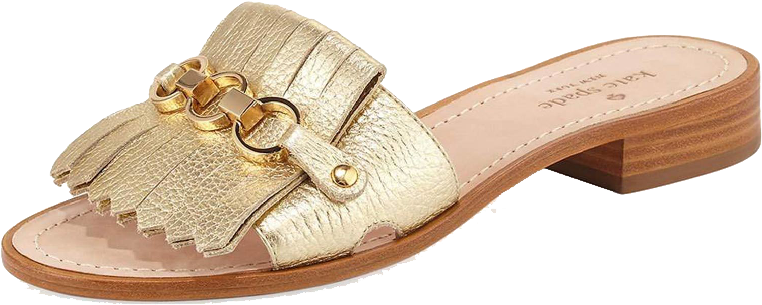 Gold Fringe Sandal Side View PNG image