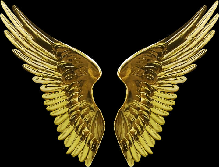 Golden Angel Wings PNG image