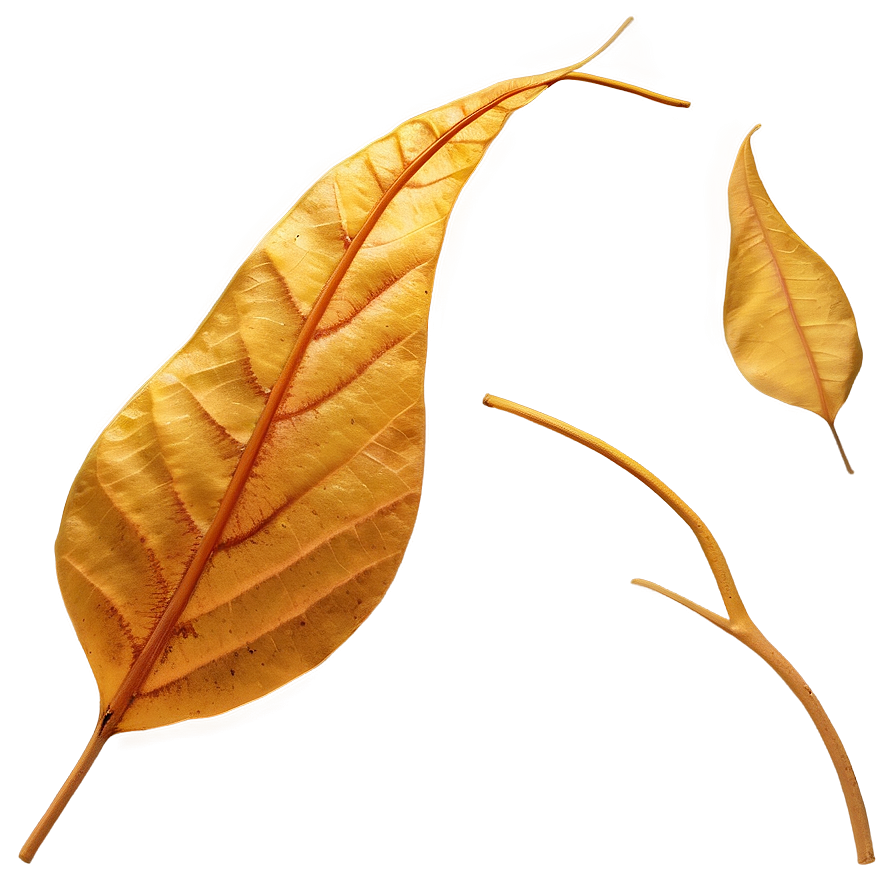 Golden Autumn Leaves Png Pxx PNG image