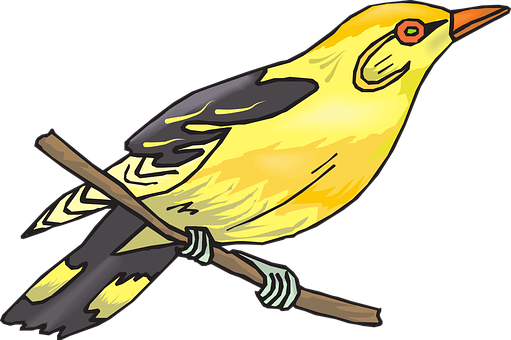 Golden Bird Illustration PNG image