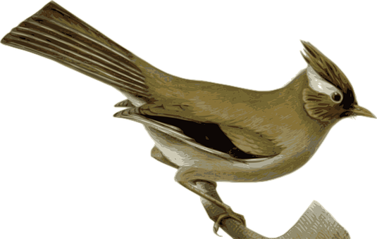 Golden Brown Bird Illustration PNG image