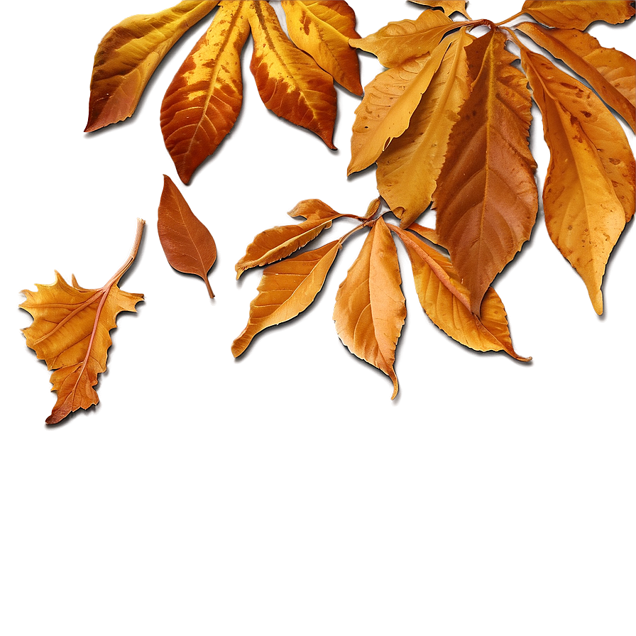 Golden Brown Fallen Leaves Png 06292024 PNG image