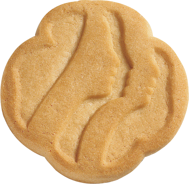Golden Butter Cookie Texture PNG image