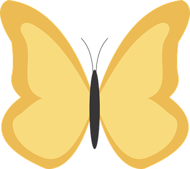 Golden Butterfly Vector Illustration PNG image
