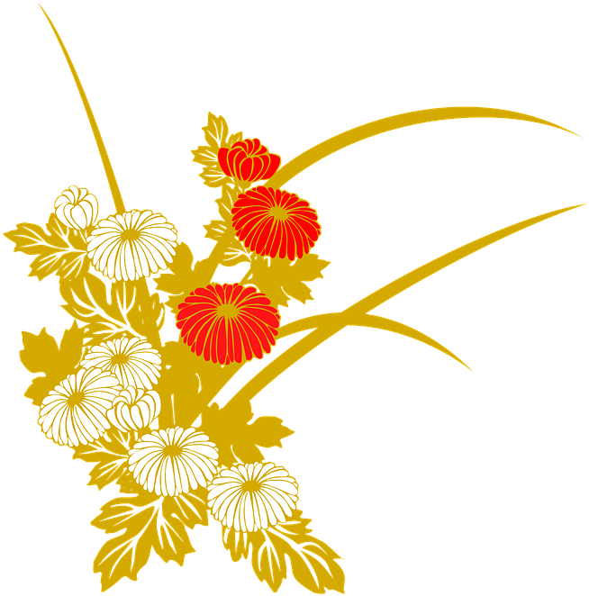 Golden_ Chrysanthemum_ Illustration PNG image