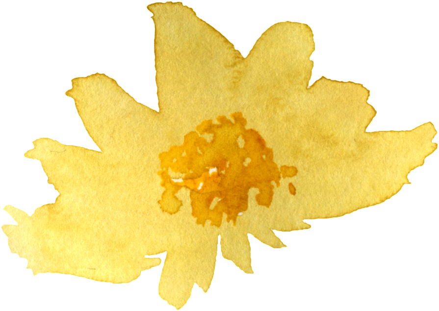 Golden Chrysanthemum Watercolor PNG image