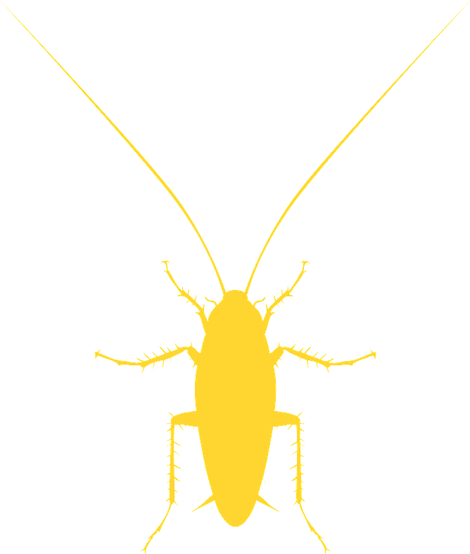 Golden Cockroach Silhouette PNG image