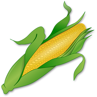Golden Corn Ear Illustration PNG image