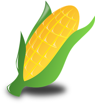 Golden Corn Illustration PNG image