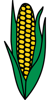 Golden Corn Illustration PNG image