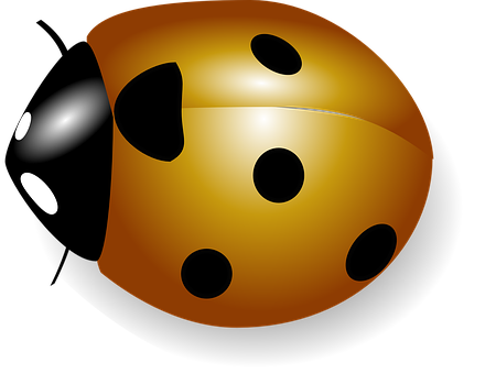 Golden Dice Black Background PNG image