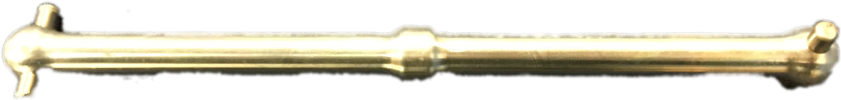 Golden Dog Bone Isolated PNG image