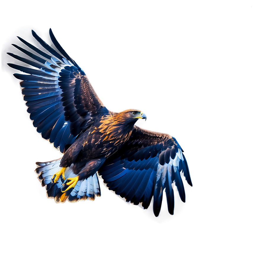 Golden Eagle In Flight Png 06202024 PNG image