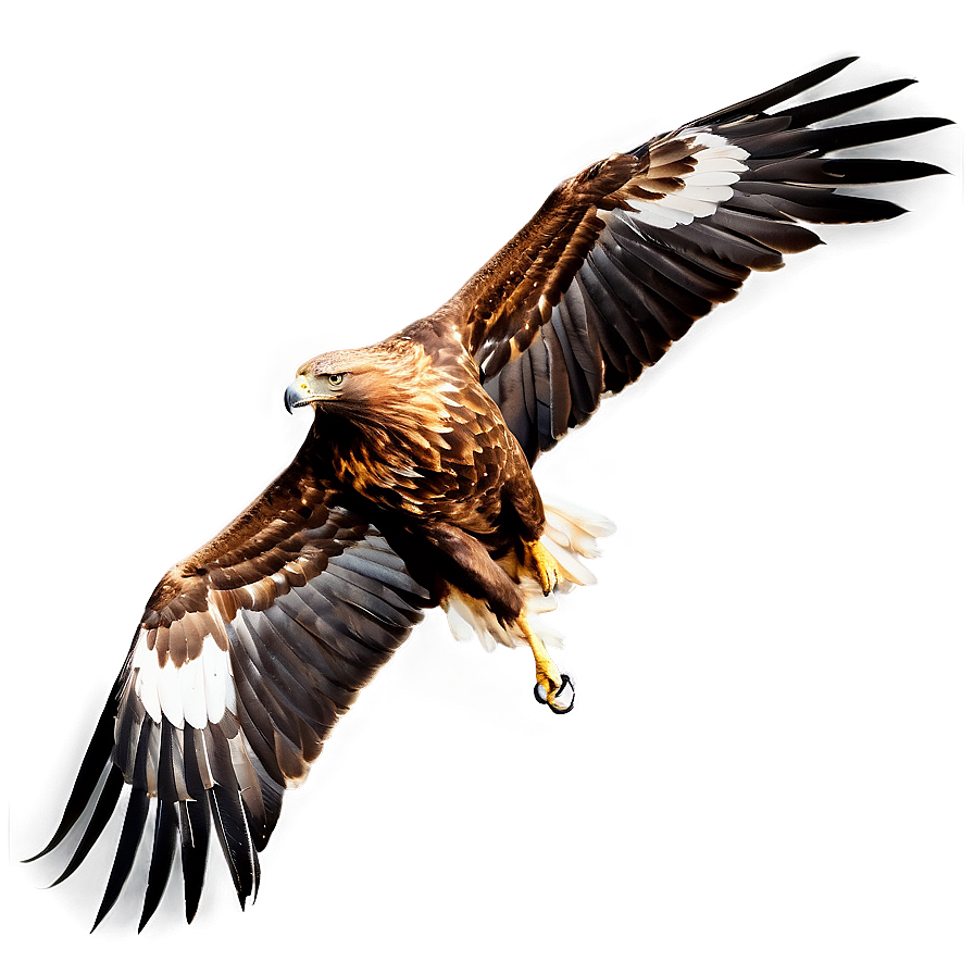 Golden Eagle In Mid-hunt Png Mkd PNG image