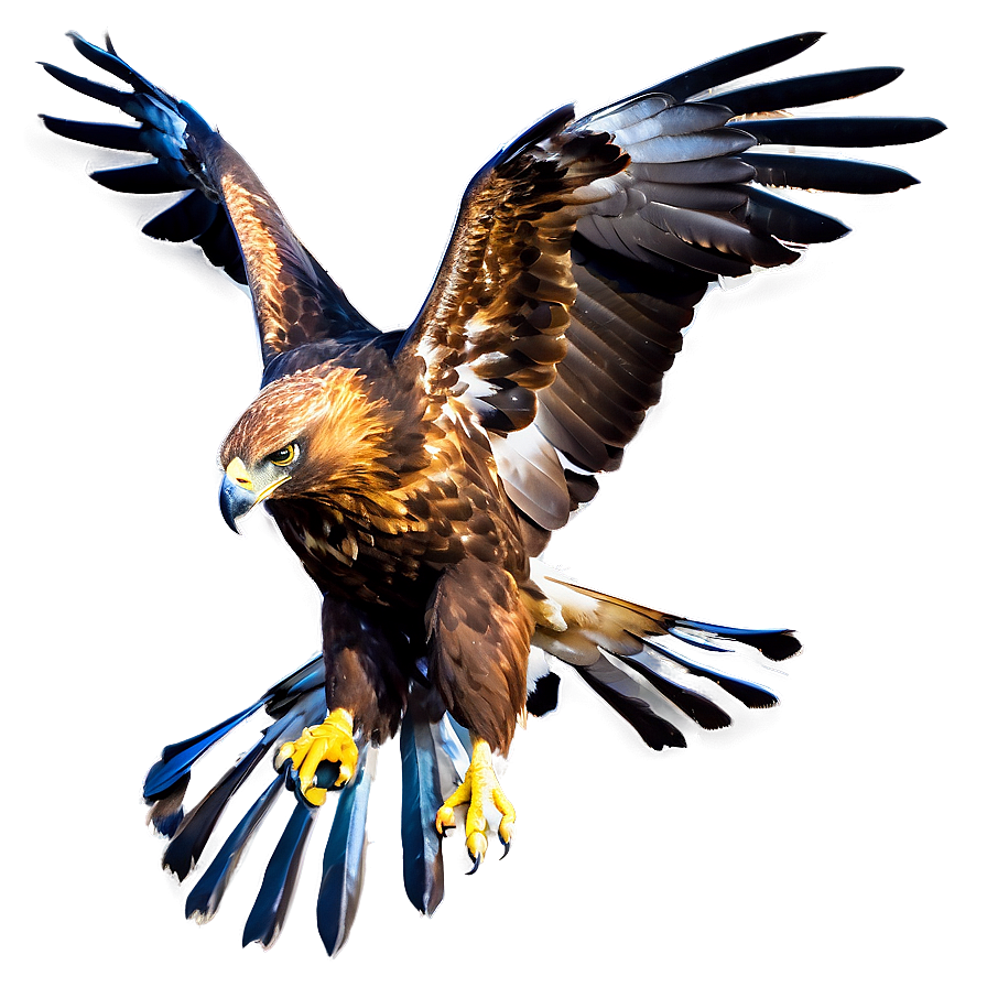 Golden Eagle Mating Dance Png Maj PNG image