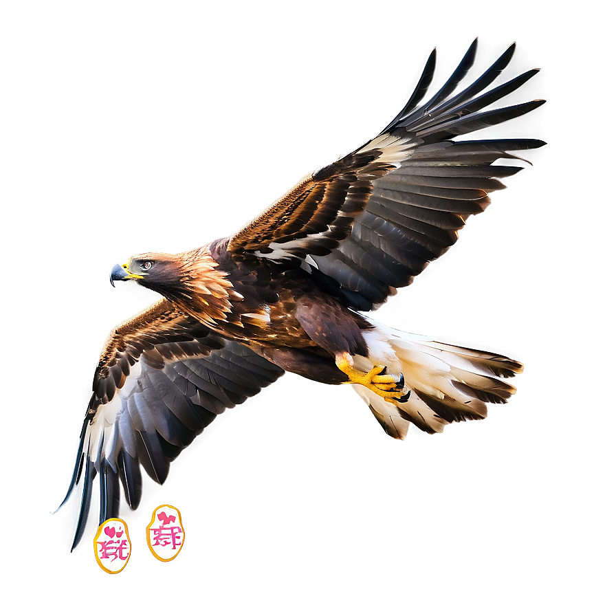 Golden Eagle Talons Outstretched Png Lhn23 PNG image