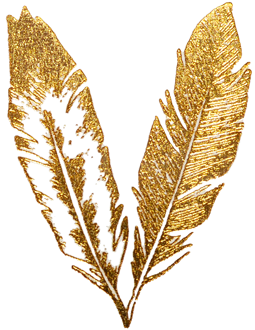 Golden Feather Artwork PNG image