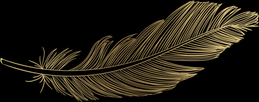 Golden Feather Black Background PNG image