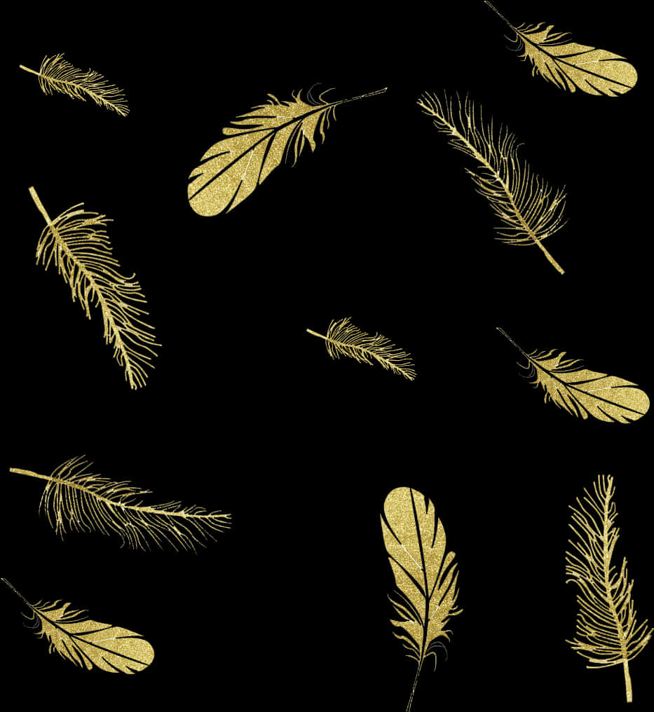 Golden Feathers Black Background PNG image