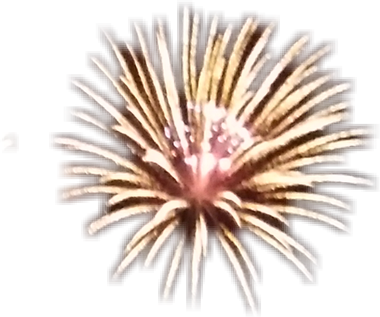 Golden Firework Explosion Night Sky PNG image