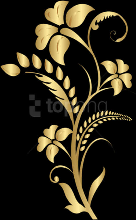Golden Floral Designon Black PNG image
