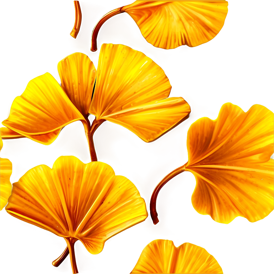 Golden Ginkgo Leaves Png Fow PNG image