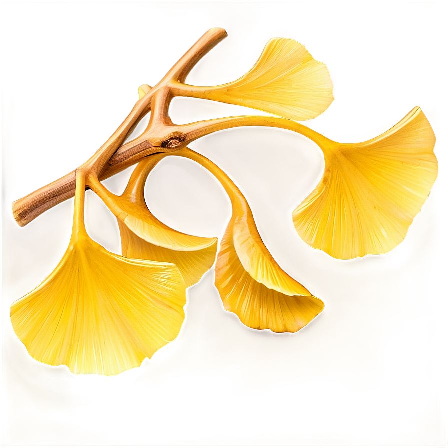 Golden Ginkgo Leaves Png Xwe PNG image