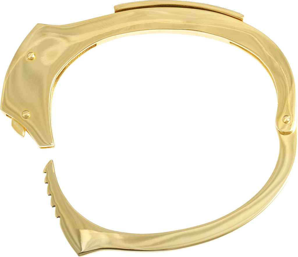 Golden Handcuff Single Open PNG image