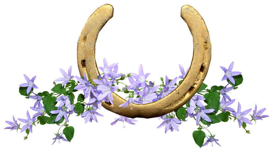 Golden Horseshoewith Purple Flowers PNG image