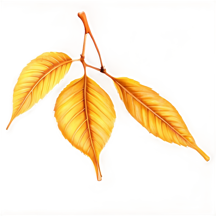 Golden Hour Leaves Png Otj78 PNG image