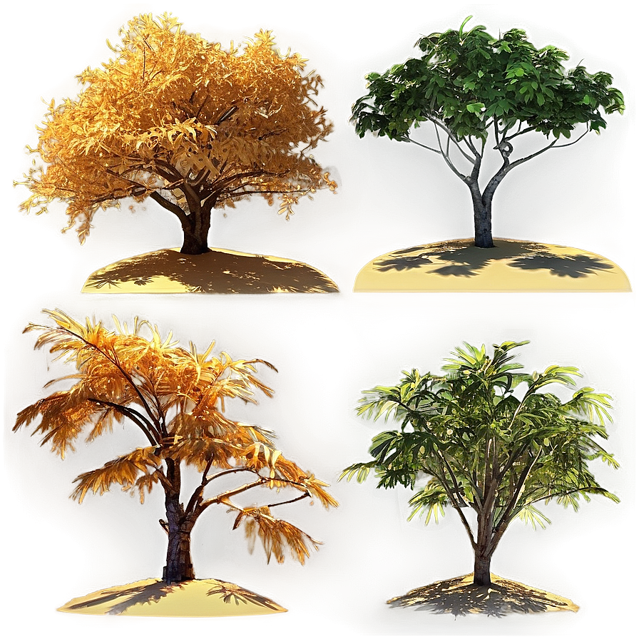 Golden Hour Trees Png Jug11 PNG image