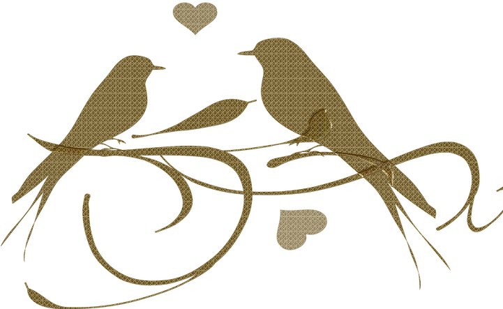 Golden Love Birds Graphic PNG image
