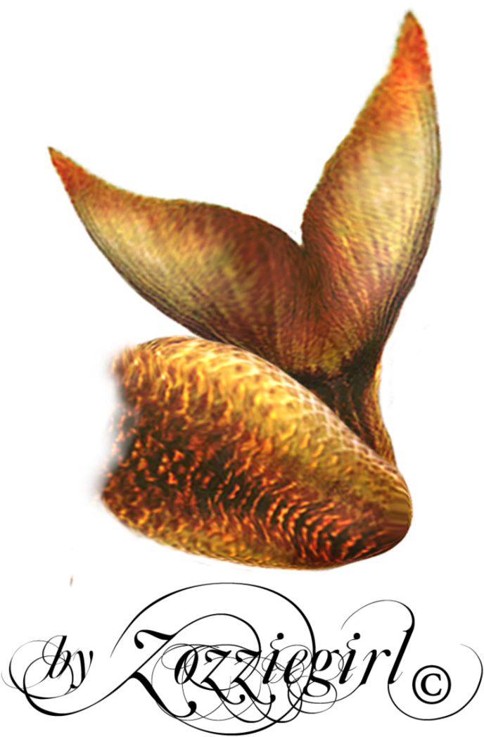 Golden Mermaid Tail Illustration PNG image