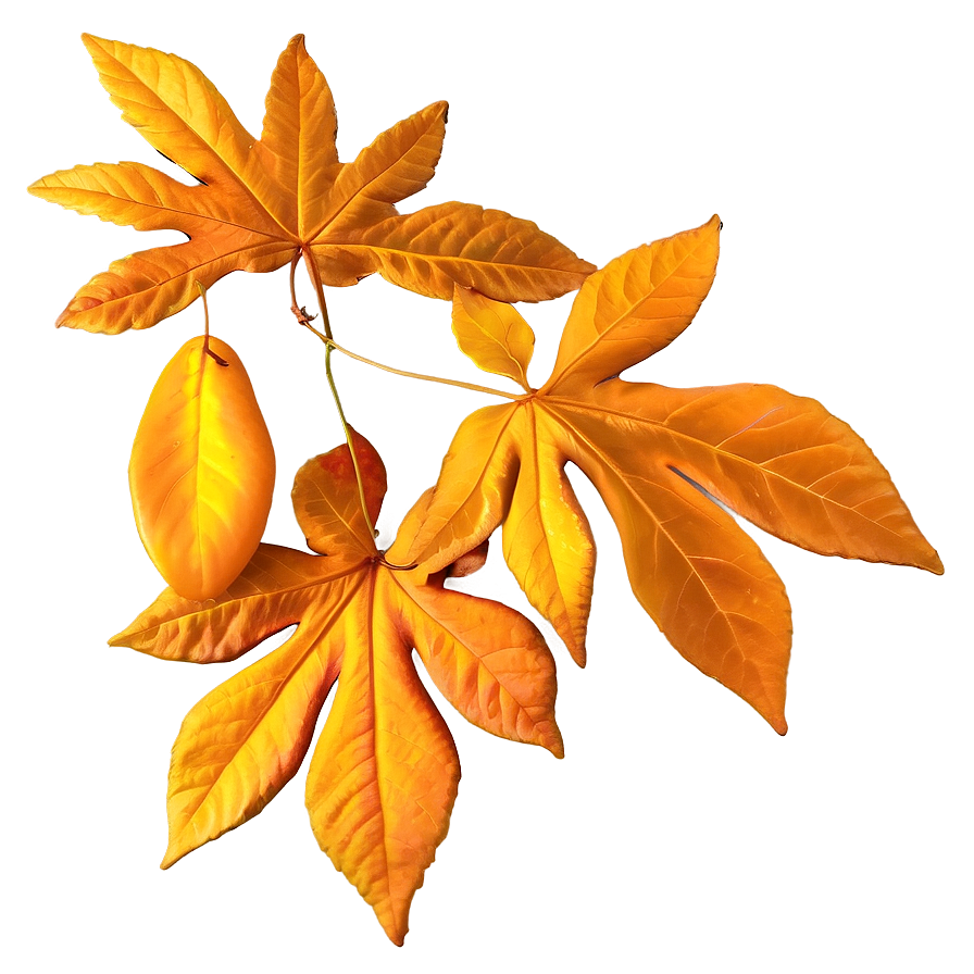 Golden Mississippi Fall Foliage Png 20 PNG image