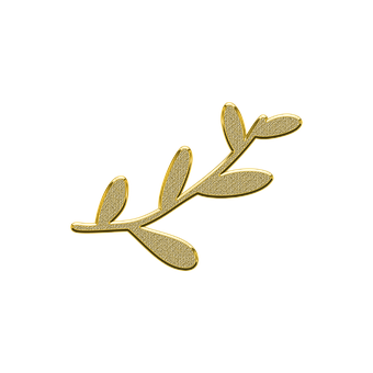 Golden Olive Branch Icon PNG image