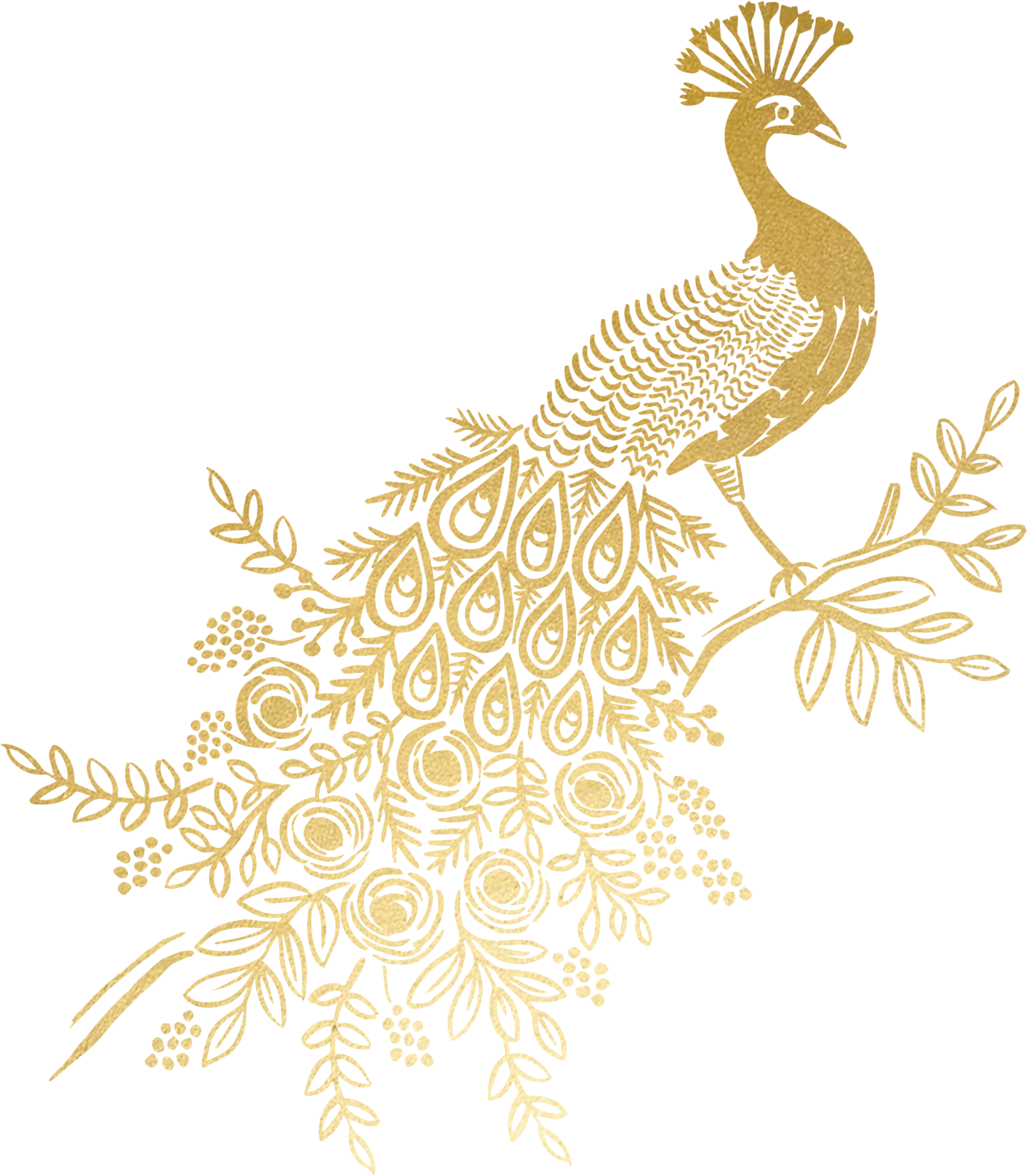 Golden Peacock Feather Artwork PNG image