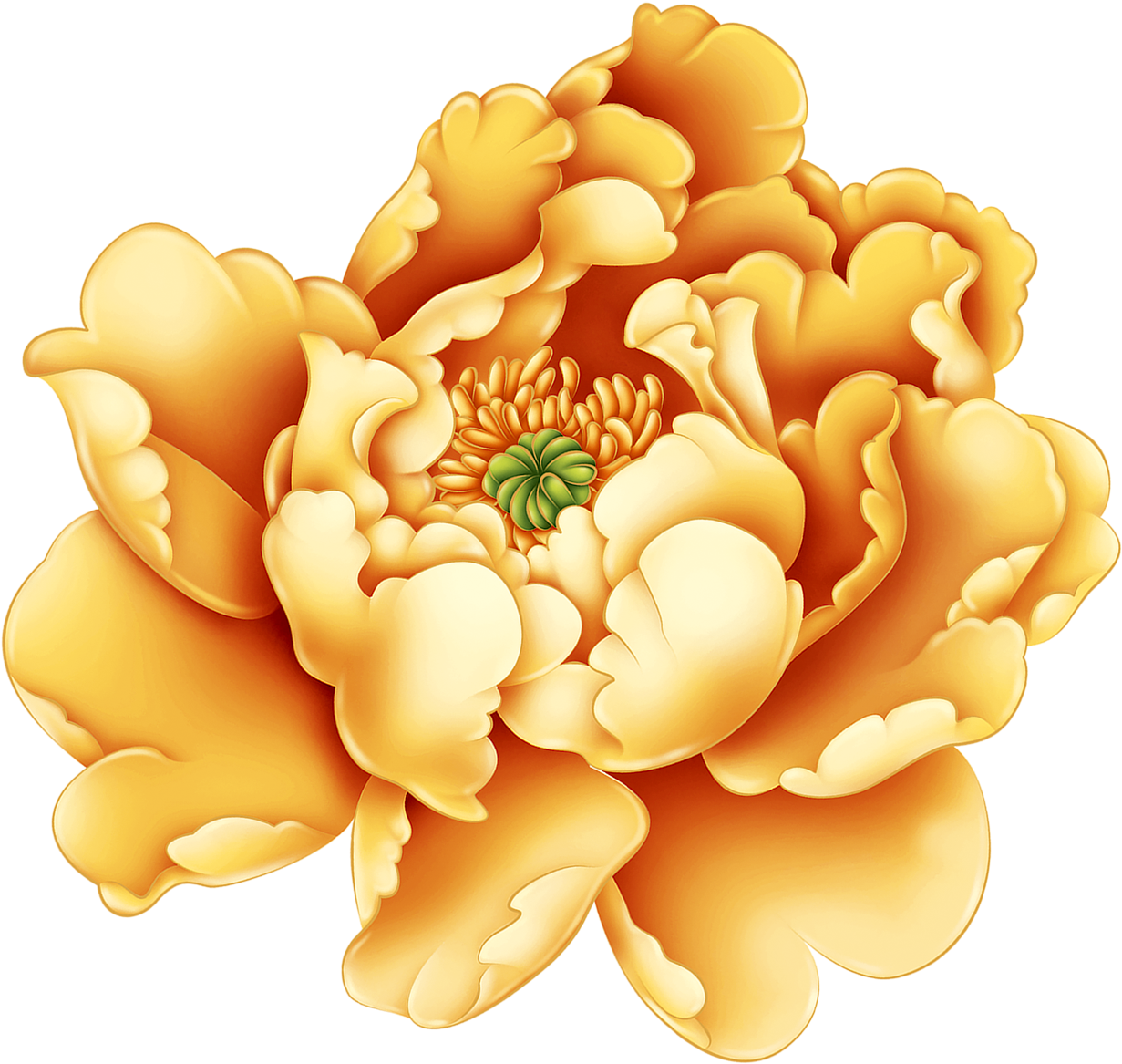 Golden Peony Illustration PNG image