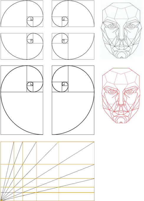 Golden Ratio Facial Geometry Illustration PNG image