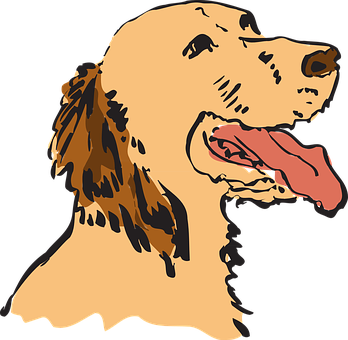 Golden Retriever Illustration.png PNG image