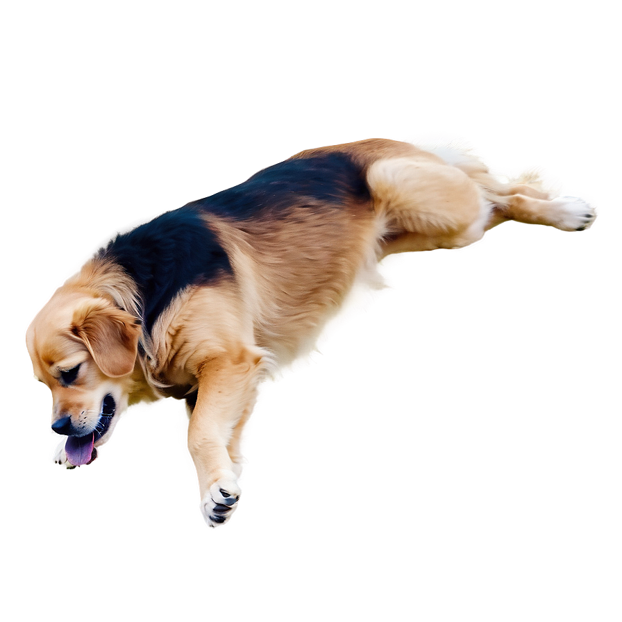 Golden Retriever Png 8 PNG image