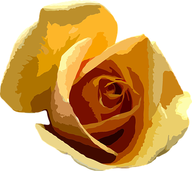 Golden Rose Vector Art PNG image