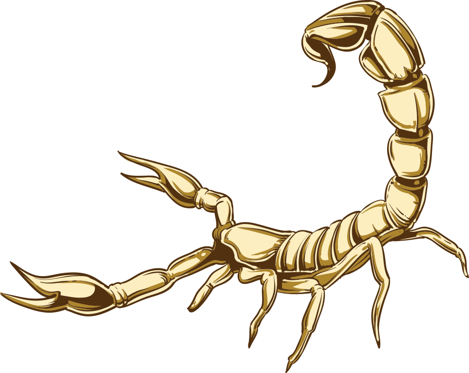 Golden Scorpion Illustration PNG image