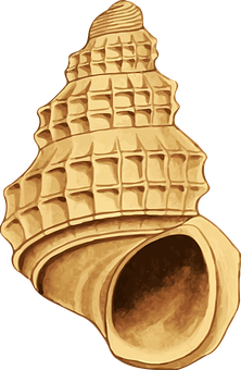 Golden Seashell Illustration PNG image